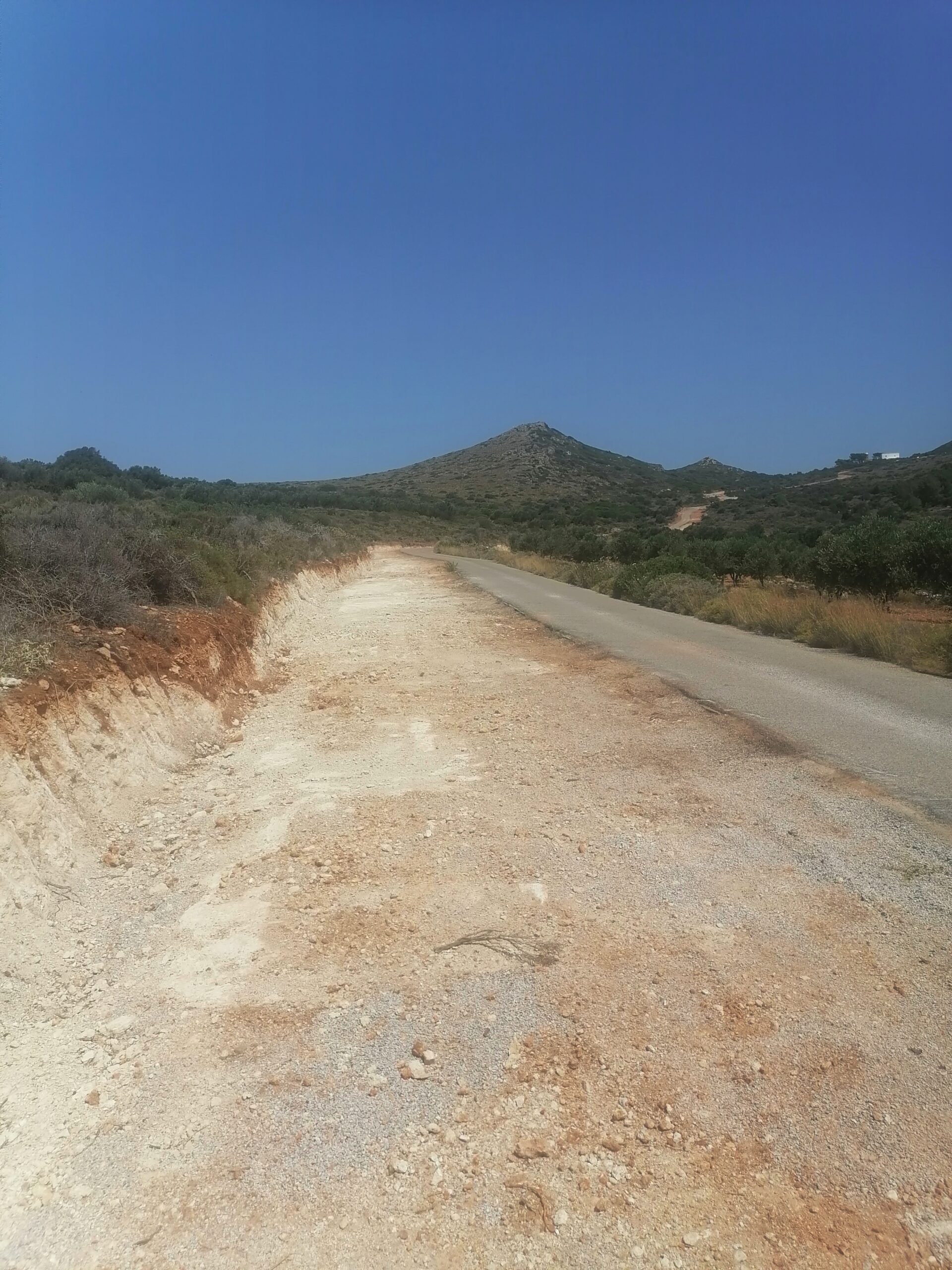 IMG 20230714 114209 scaled