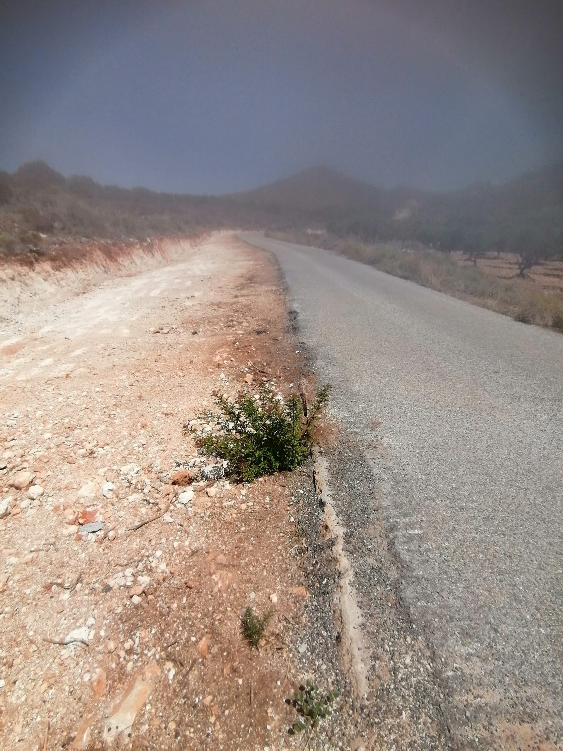 IMG 20230714 114303 scaled