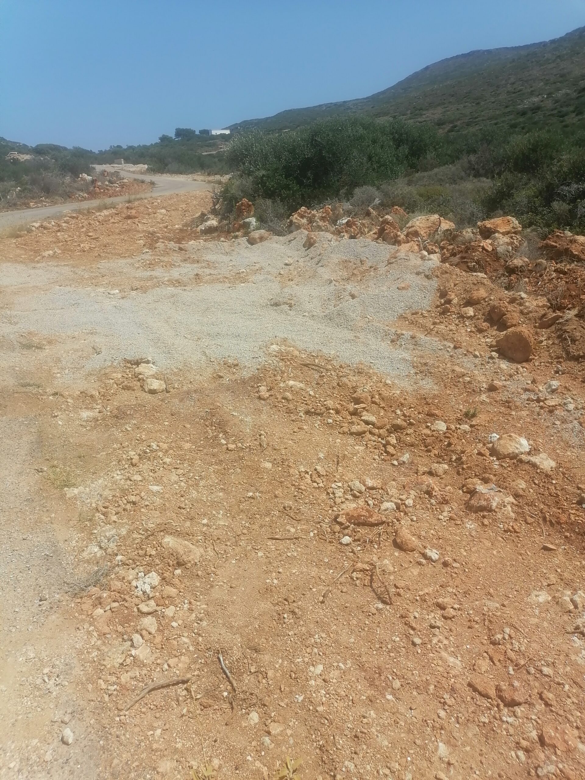 IMG 20230714 114446 scaled