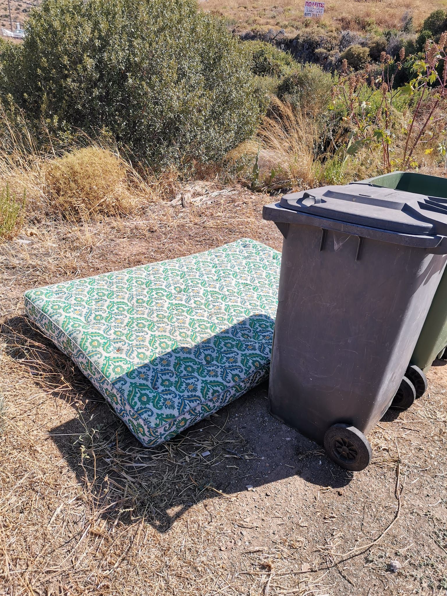 366286175 703836164917751 6334639572858570068 n