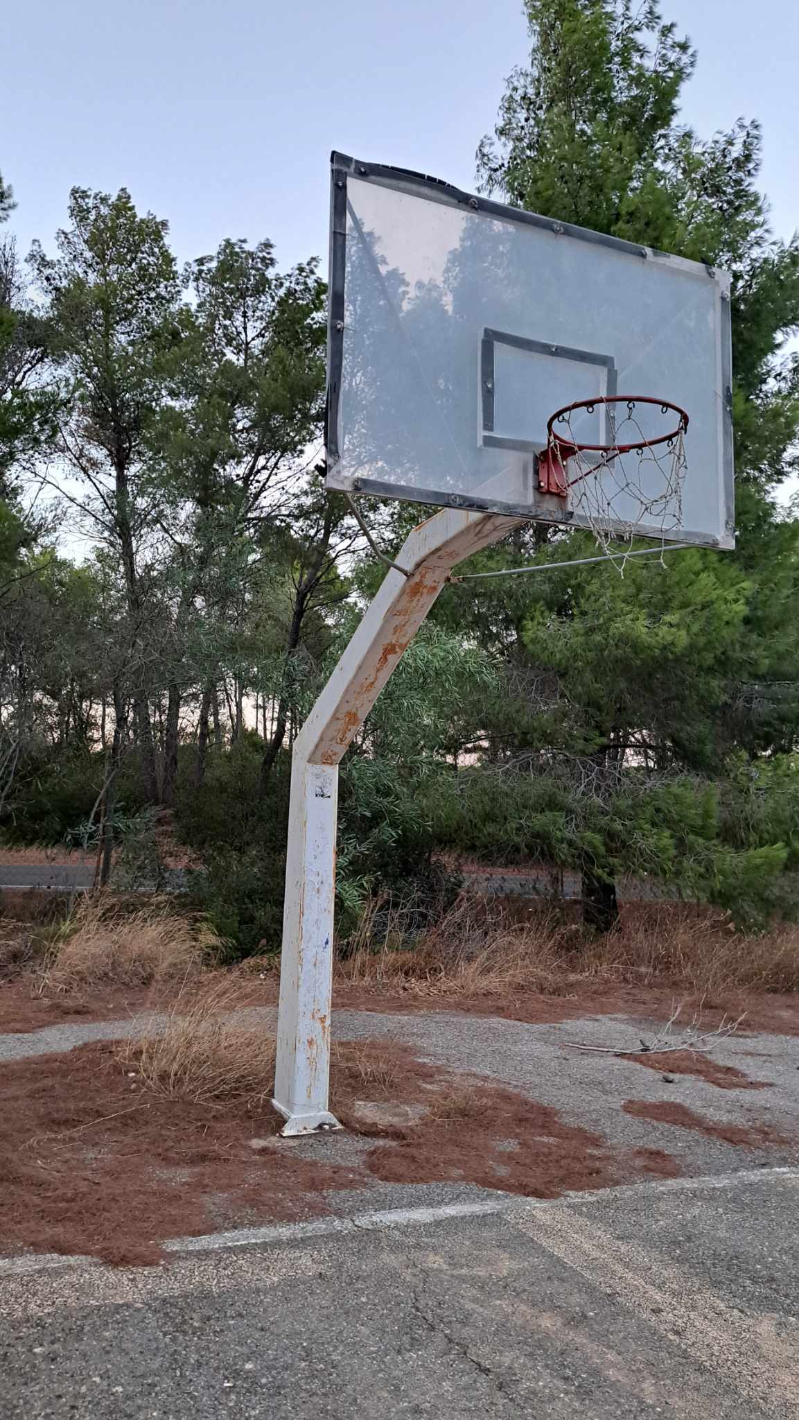 370583309 1357703161496196 6760934866222265819 n