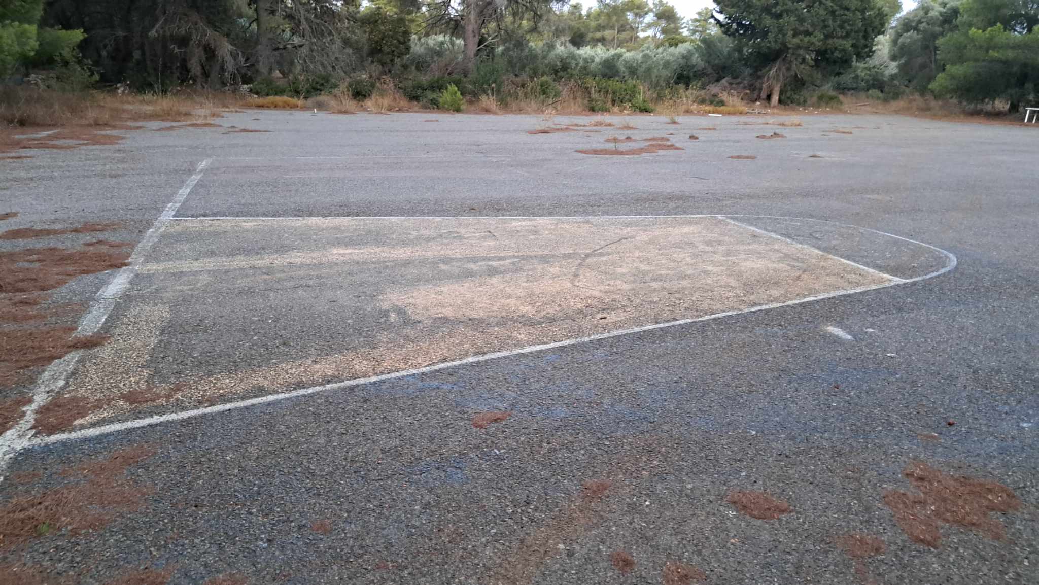 371163117 877351326875052 2207764095188750188 n