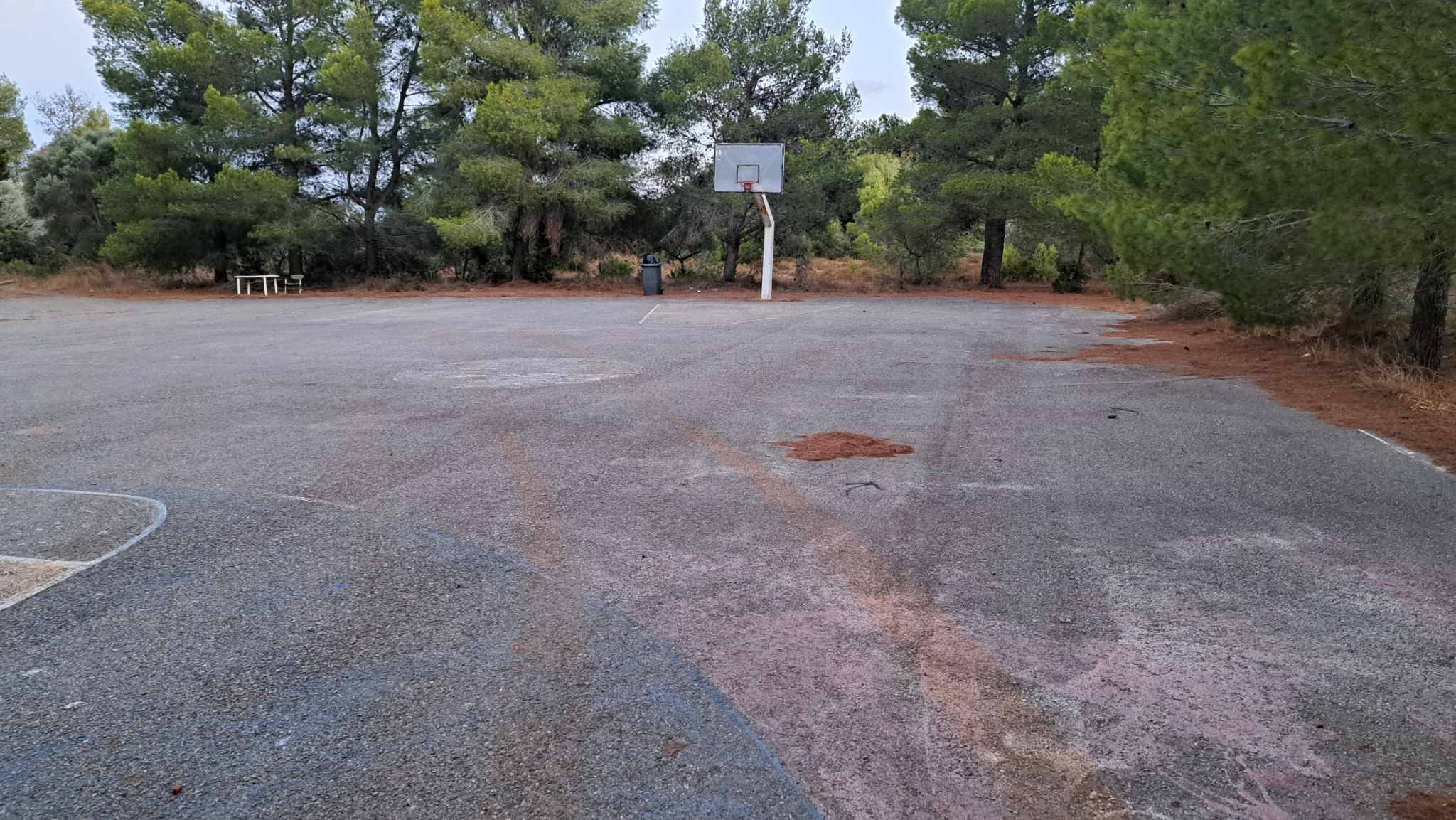 371163711 313400198025912 2130230806433097124 n