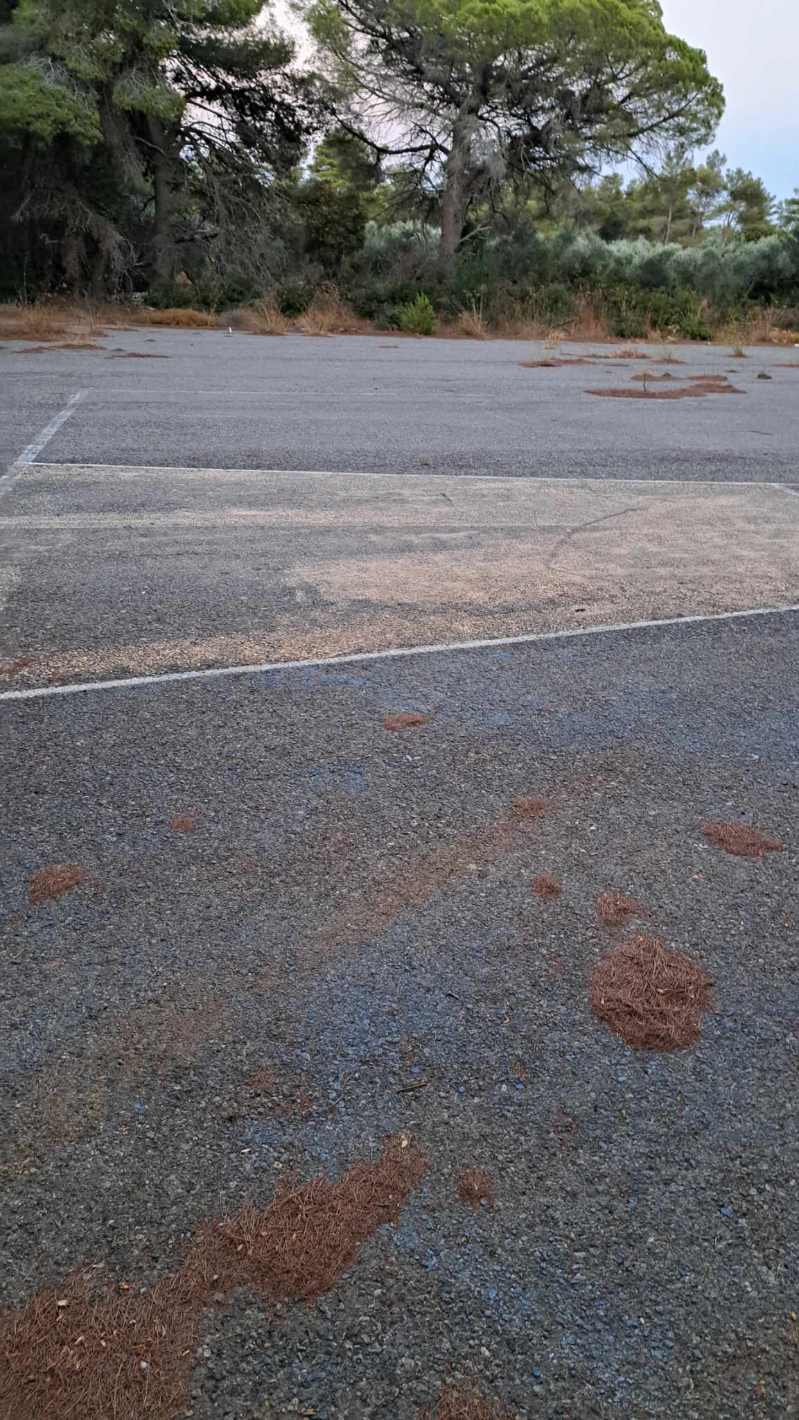 371166436 668304918302153 2998885365283554387 n