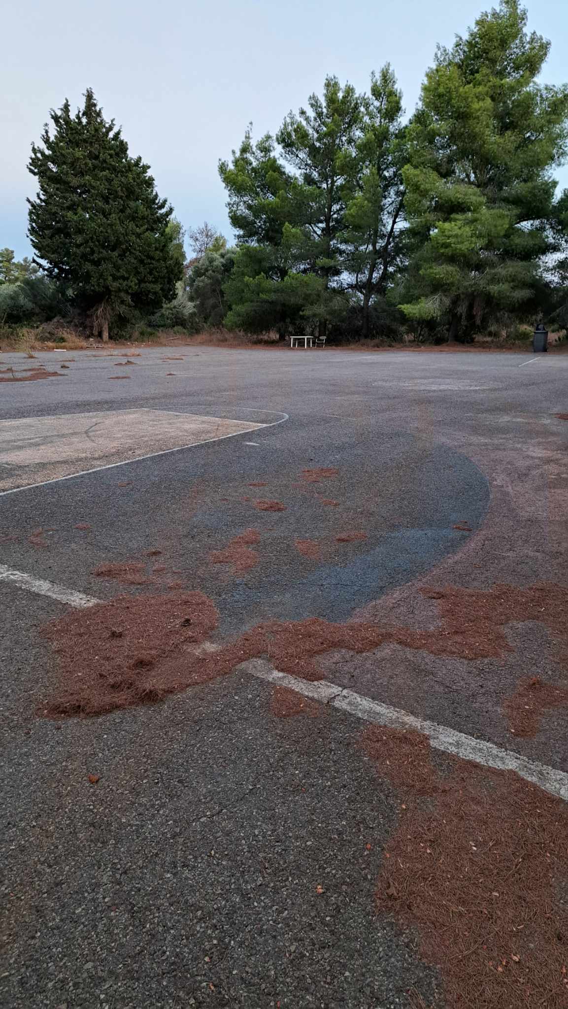 371308613 213520908073440 5837688452264906704 n