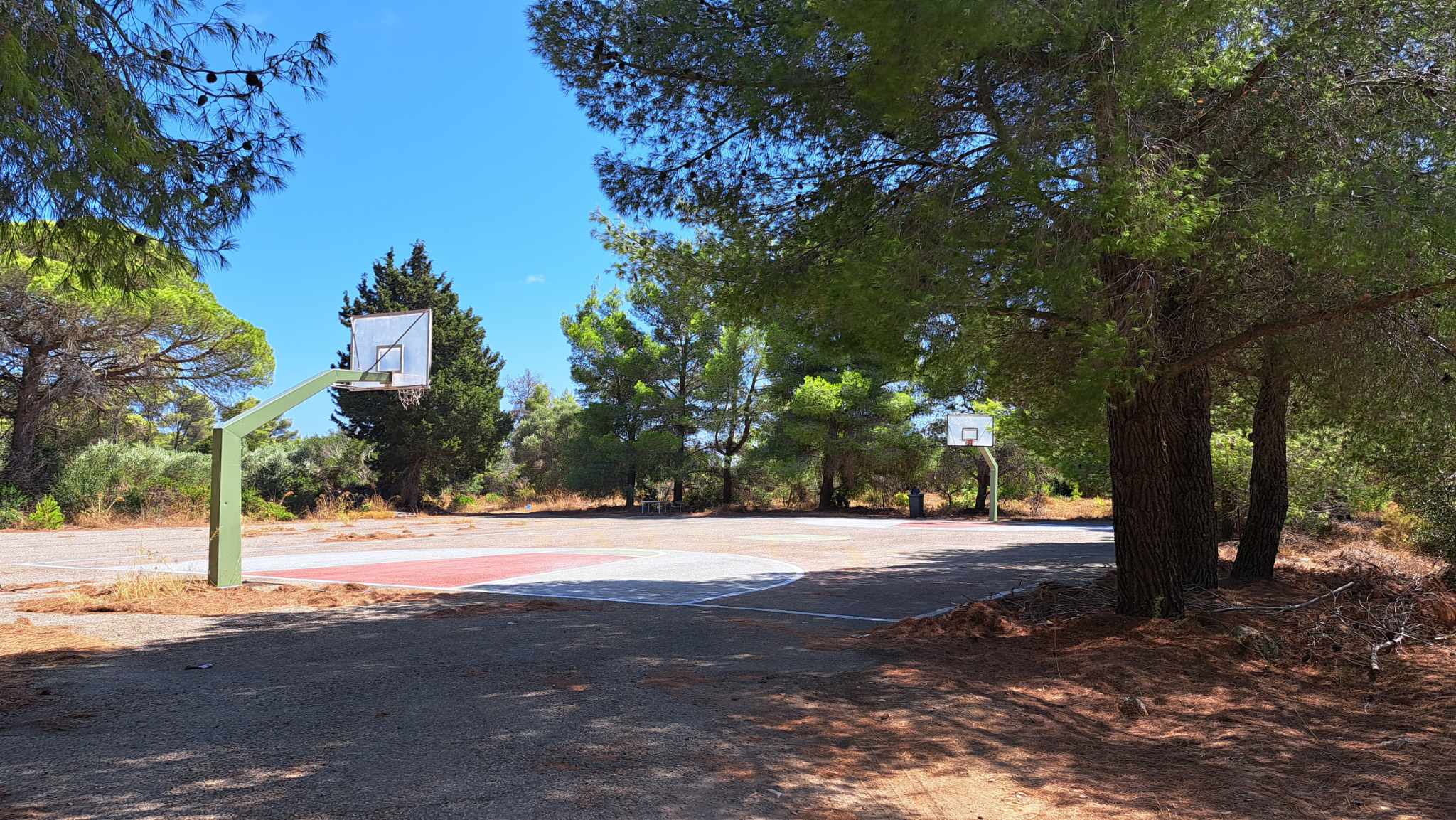 371788346 293691863268523 3243565026552974445 n