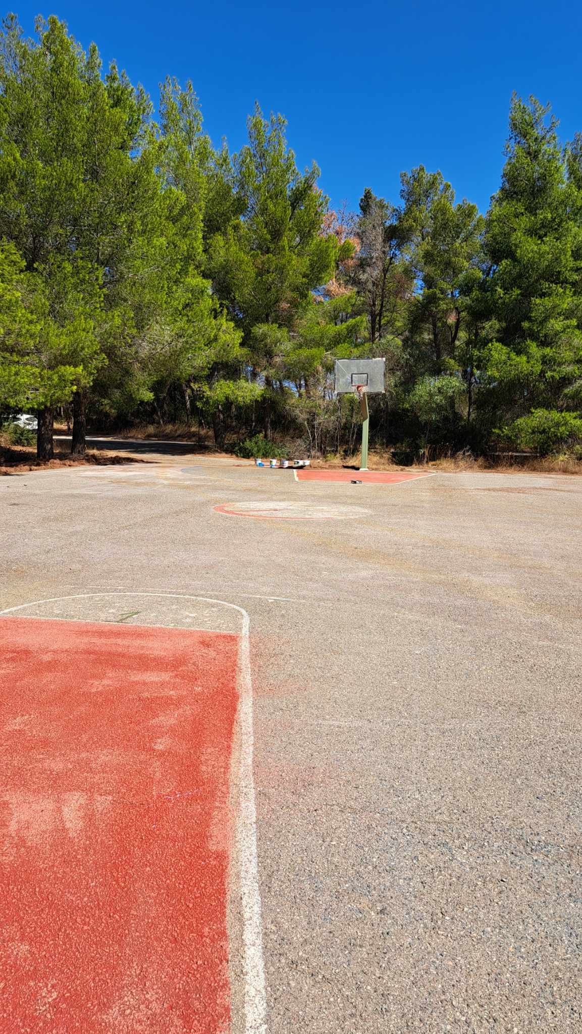 371879014 311781864702663 3406769260221771978 n