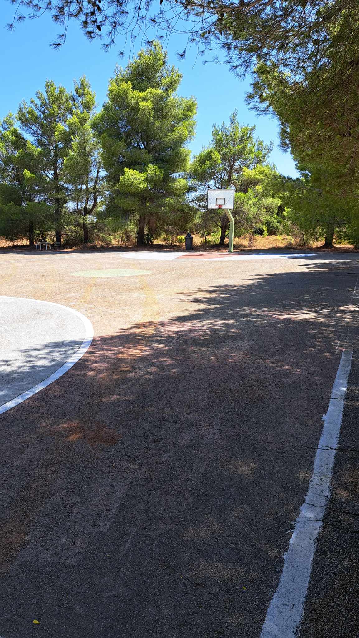 371910897 6677967102242266 7056592657851118137 n