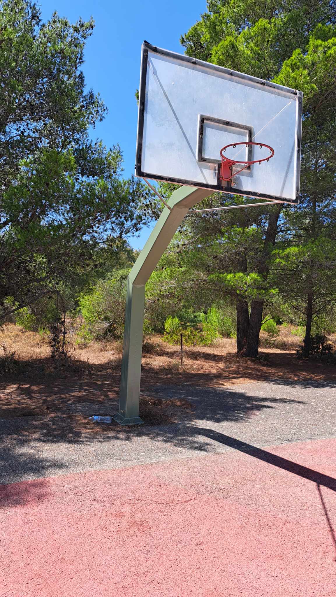 372272001 279512174792873 5356384846532214518 n