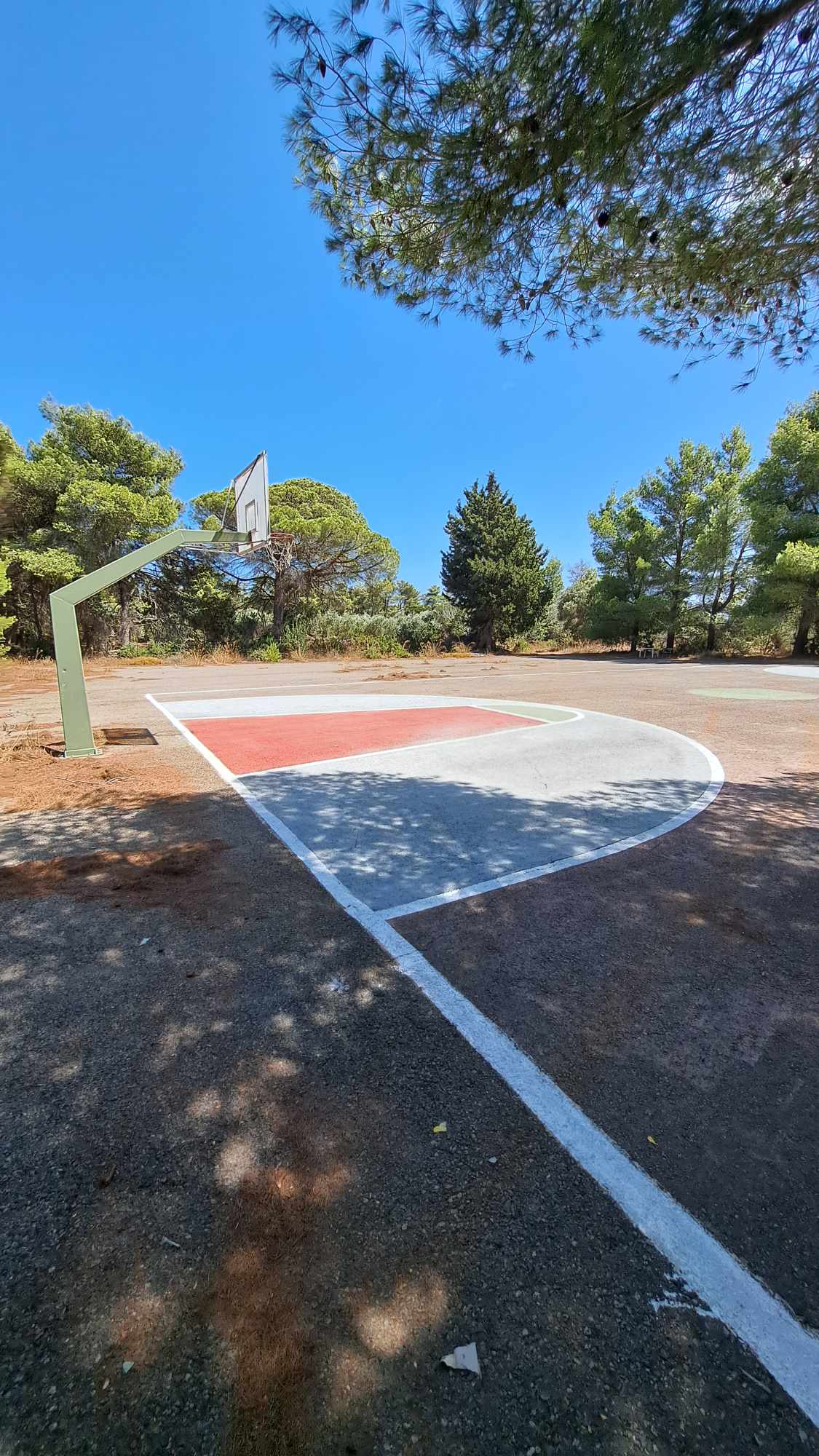 372371606 1041750360173369 2134835829124171282 n