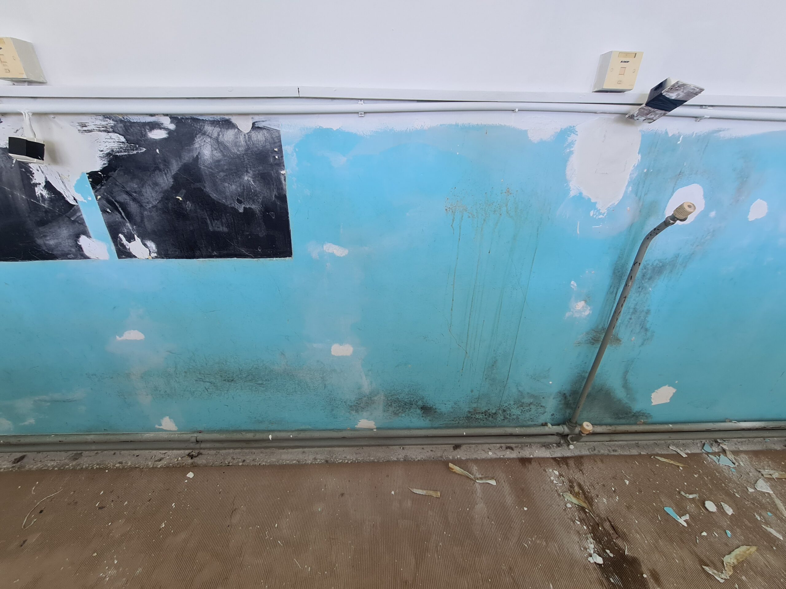 20230911 103006 scaled