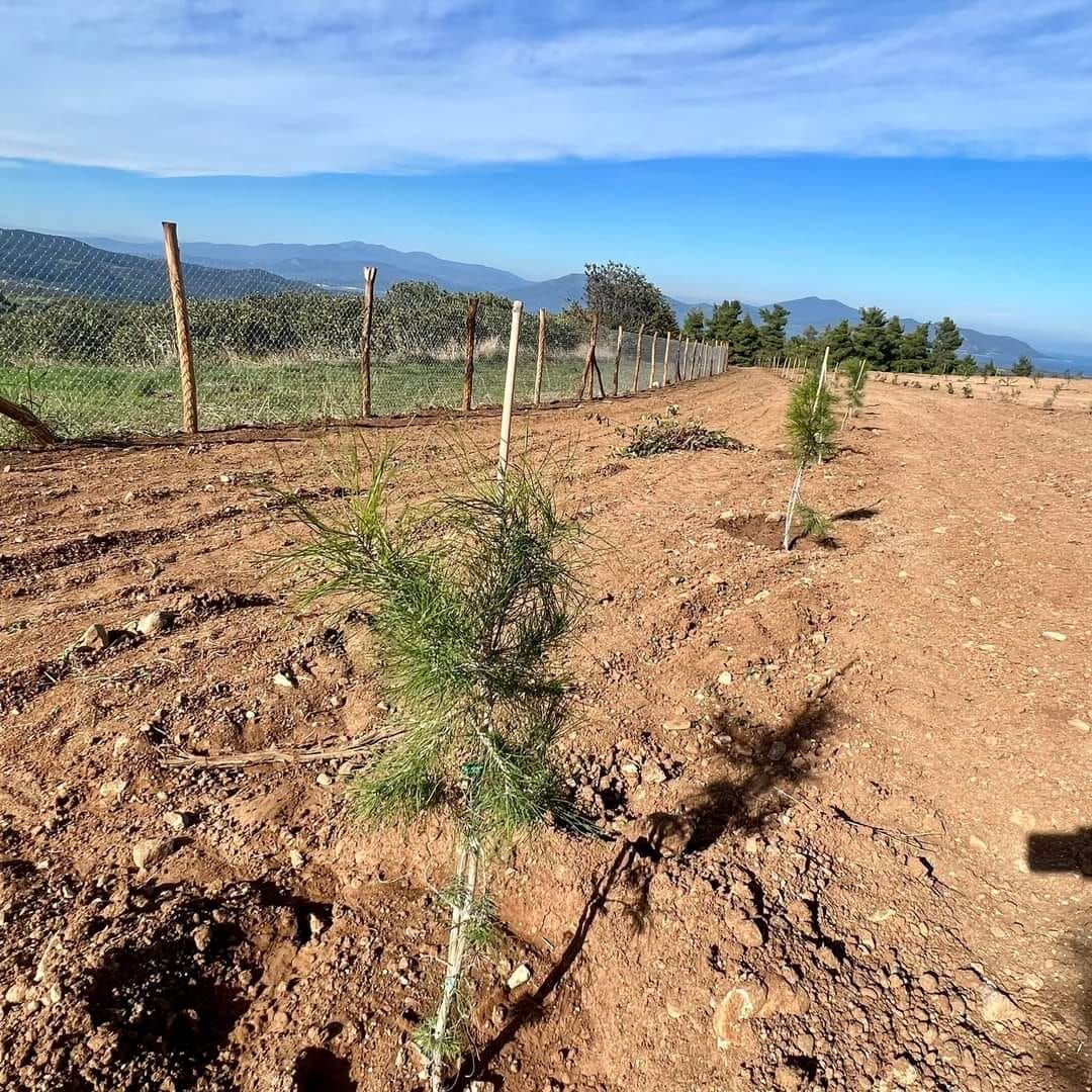 melissokomika parka3