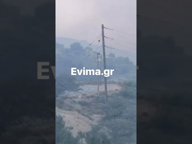 Εύβοια: Ανεξέλεγκτη η φωτιά στην Κάρυστο – Εκκενώσεις χωριών