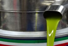 olive oil, centrifuge, production