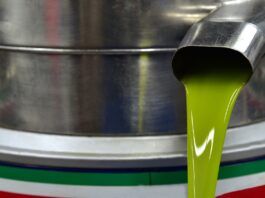 olive oil, centrifuge, production