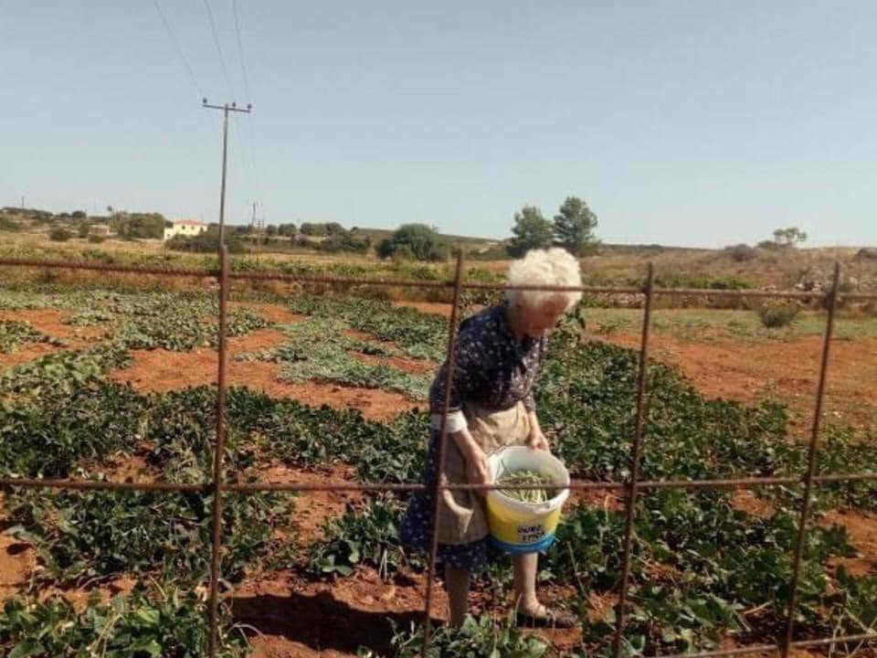 417432905 3682672838631001 7673048069716545607 n