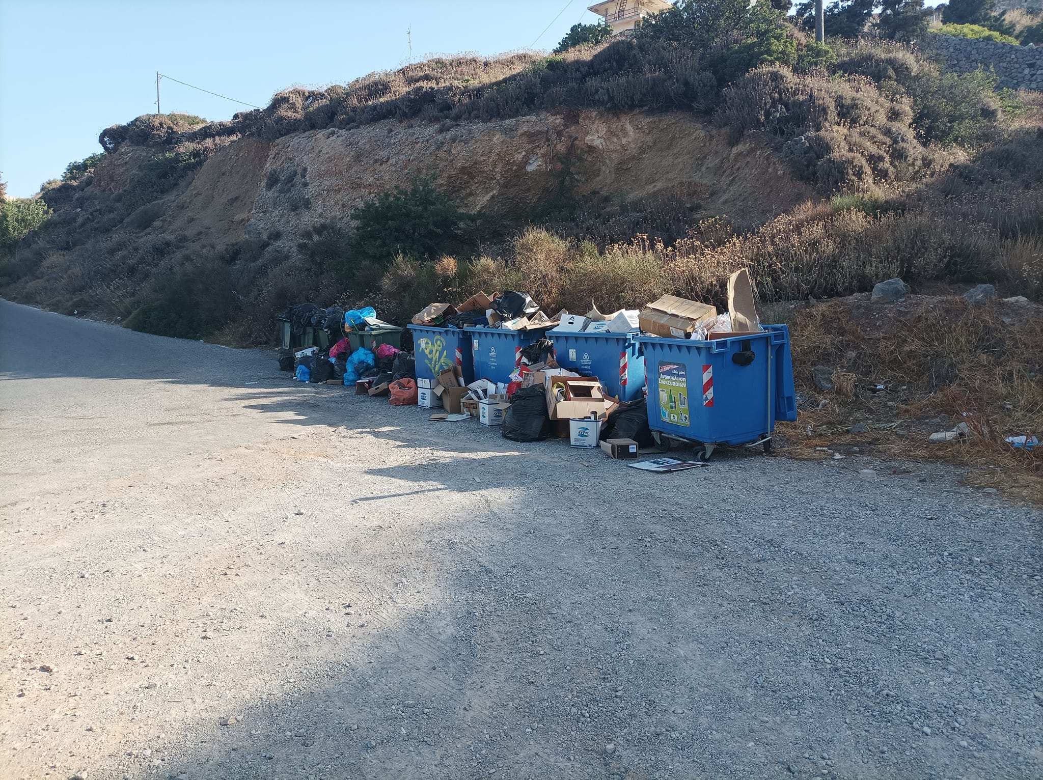 448944120 447319101487500 1345566986043870484 n