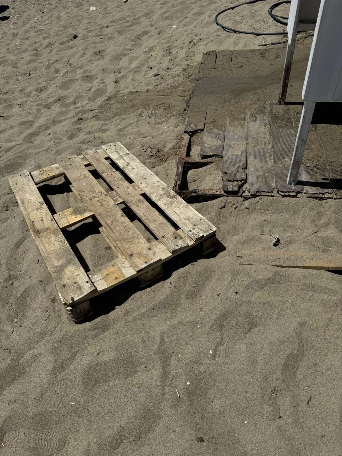 449025657 447319301487480 2730872995253844548 n