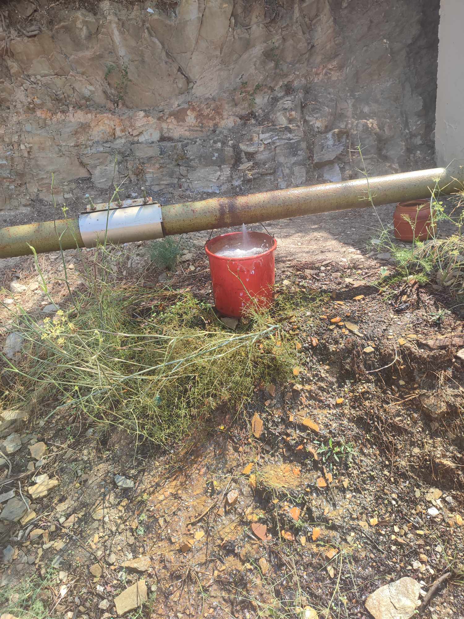 455952410 533084055869327 8613109997300581033 n