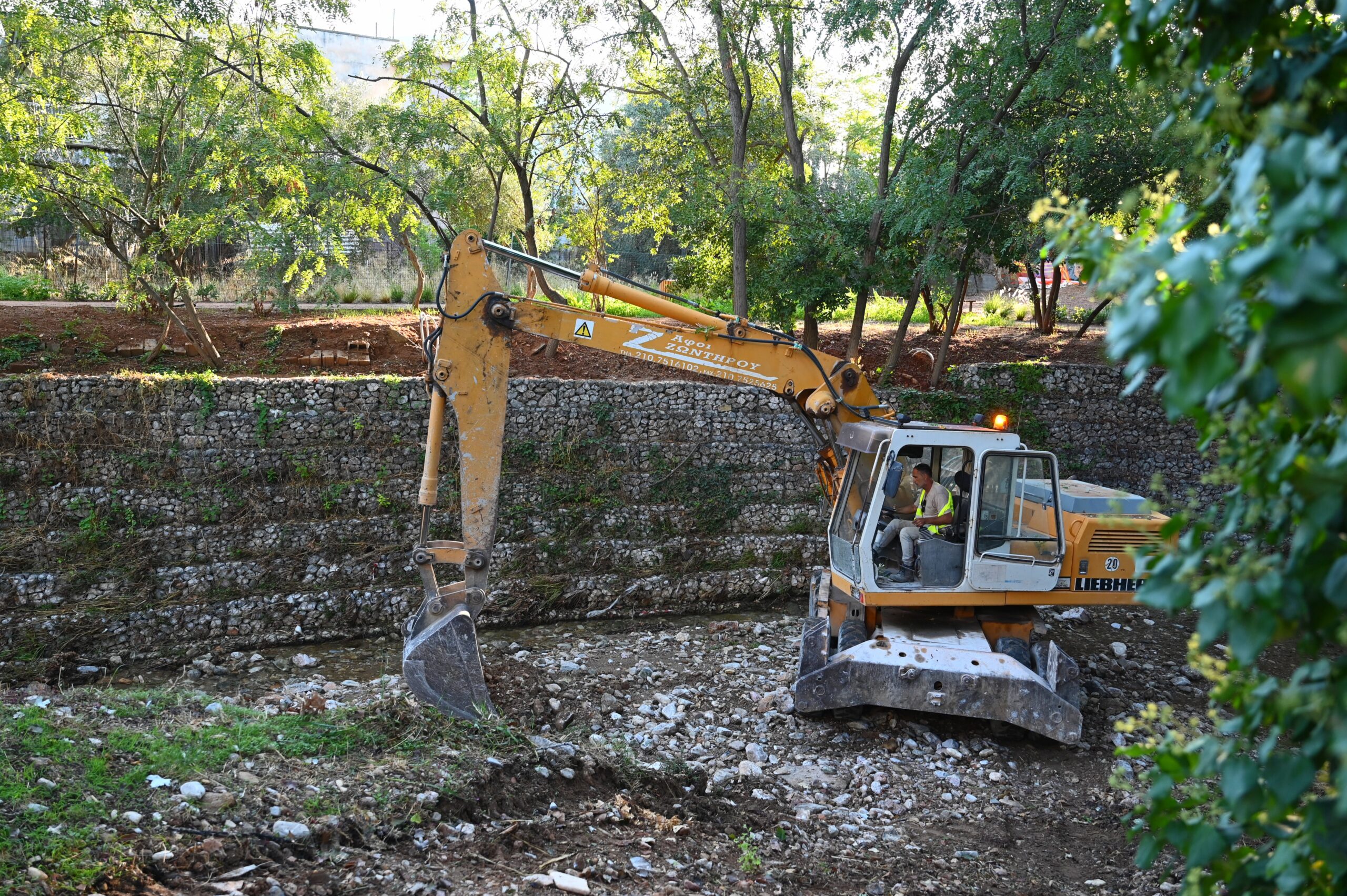 Ρούσσος Χαρδαλιάς