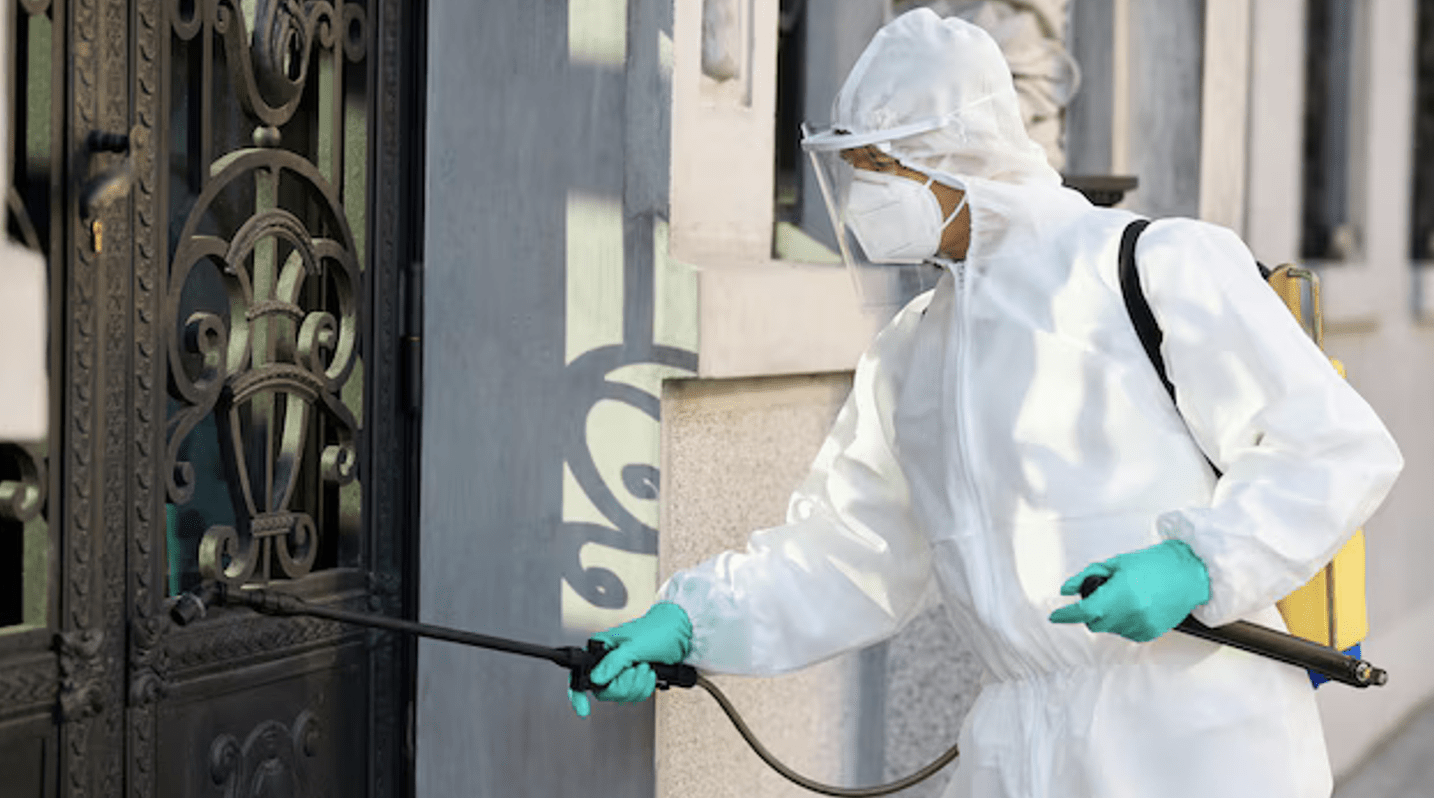 Απεντόμωση