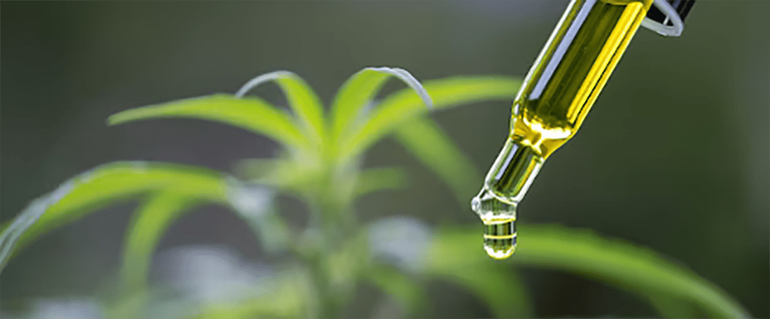 έλαιο κάνναβης