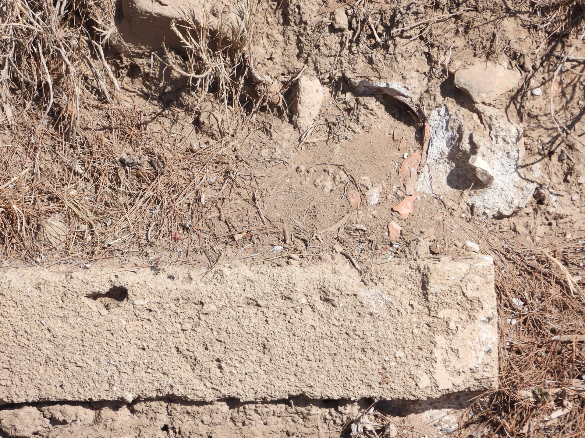 Unknown 1 1 scaled 1