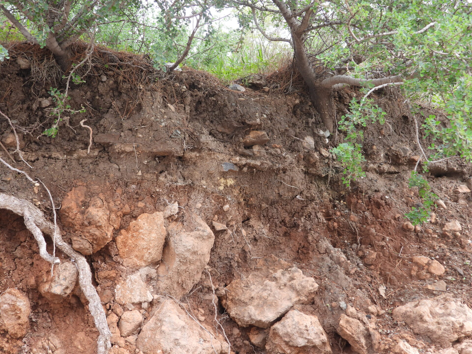 Unknown 2 1 scaled 1