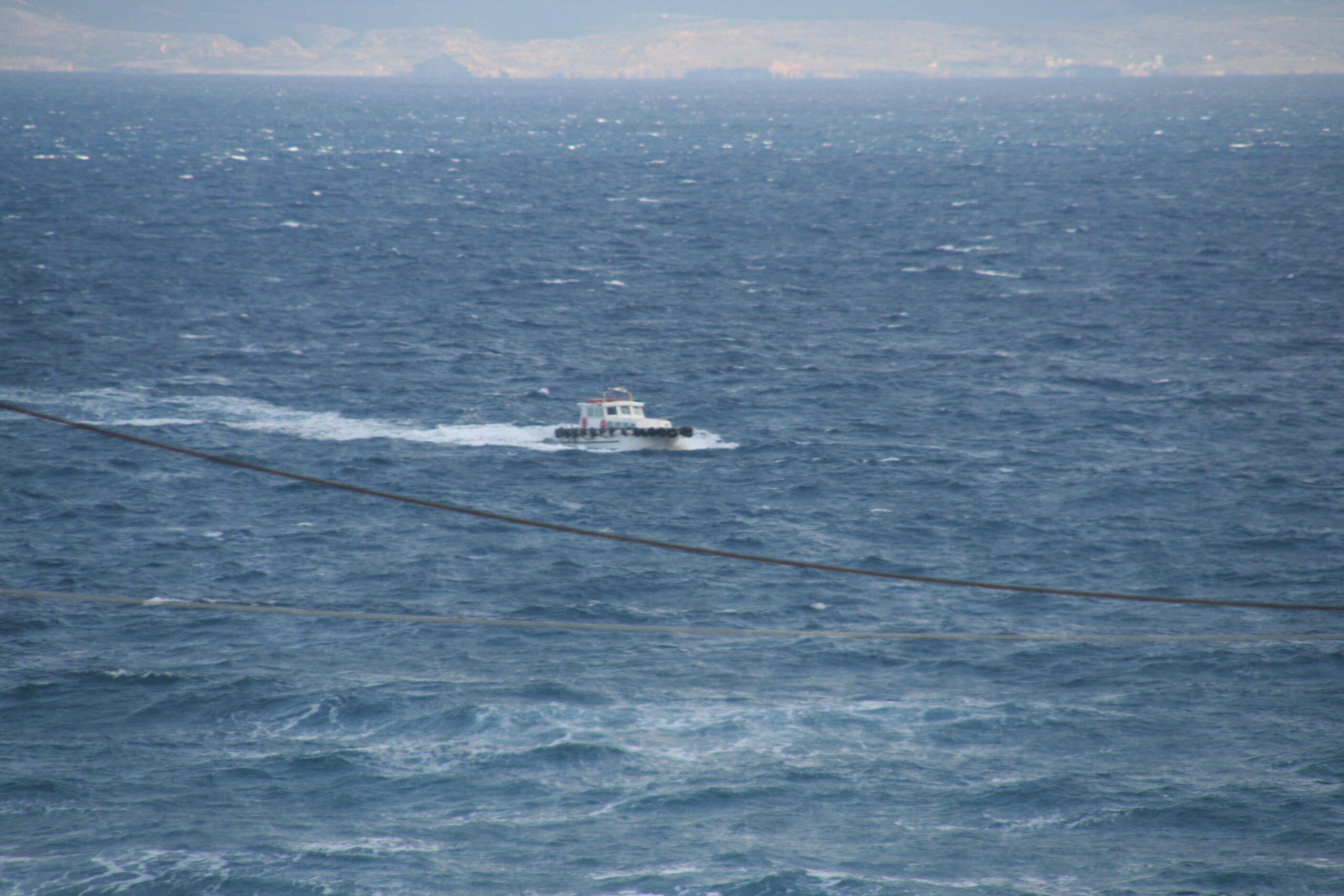 niarhos giatroi1 scaled