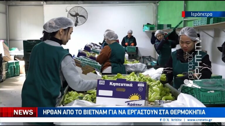 Από το Βιετνάμ στο εμπόριο οπωροκηπευτικών της Ιεράπετρας (vid)