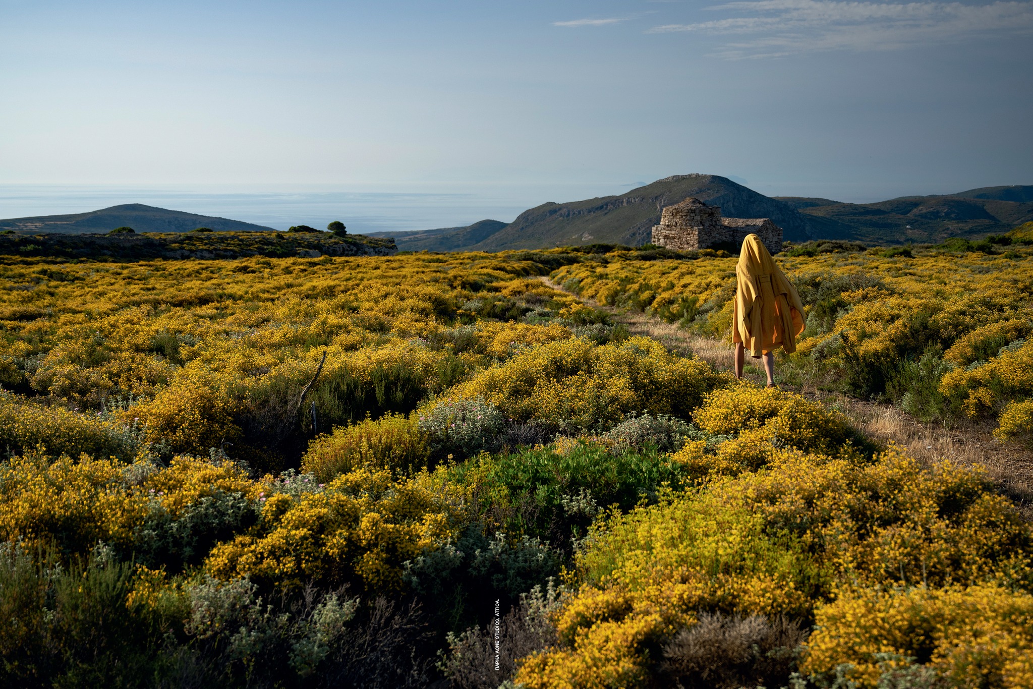 515506641 10162988285938444 4966143189452311214 n