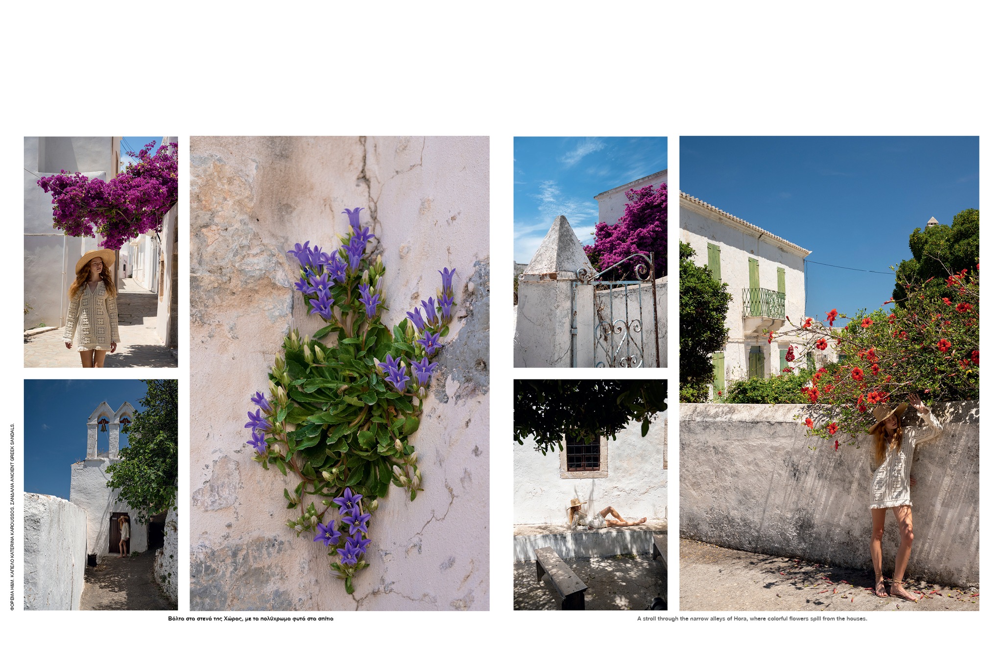 539301956 10162988282793444 7920559521341150925 n