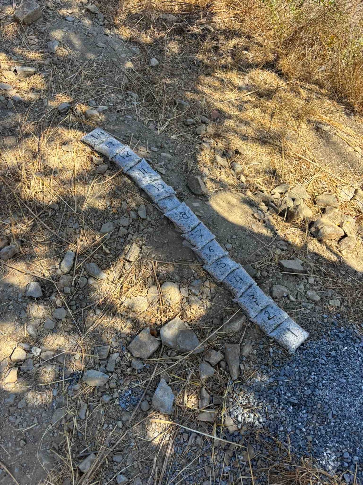 WhatsApp Image 2025 09 19 at 12.30.42 3