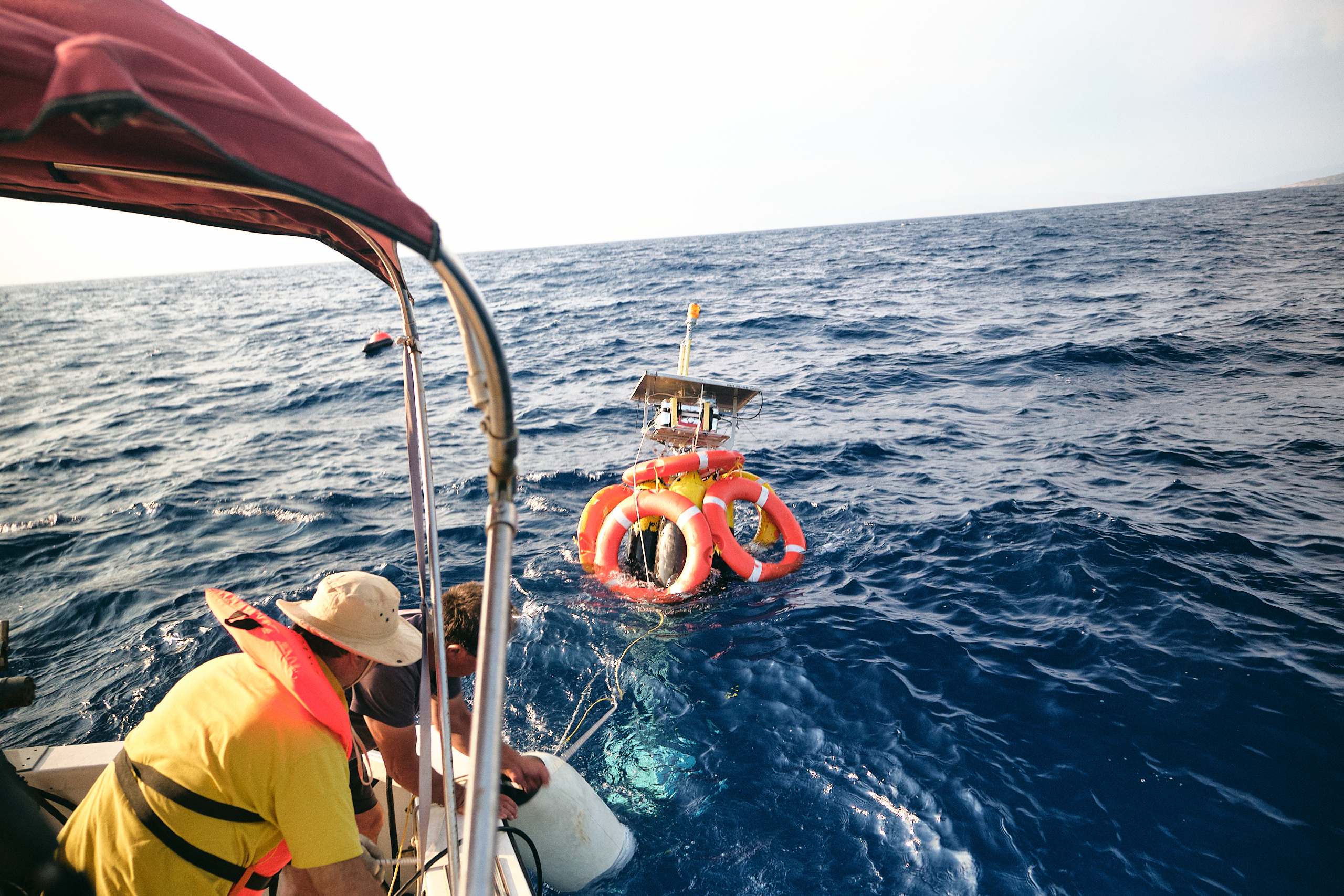 SAvE Whales buoy2 copyright OceanCare