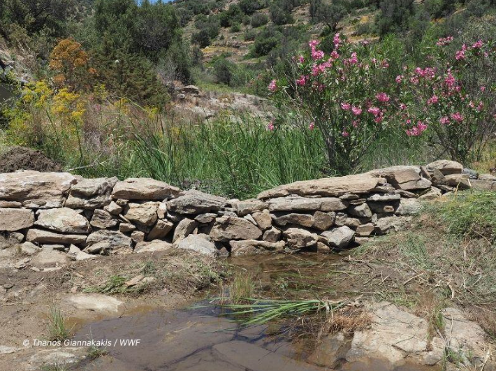 Ενημερωτικό Δελτίο του Κ.Ι.Π.Α. 10 39a1b651 3c44 0d33 03a5 3a7dedfaf286