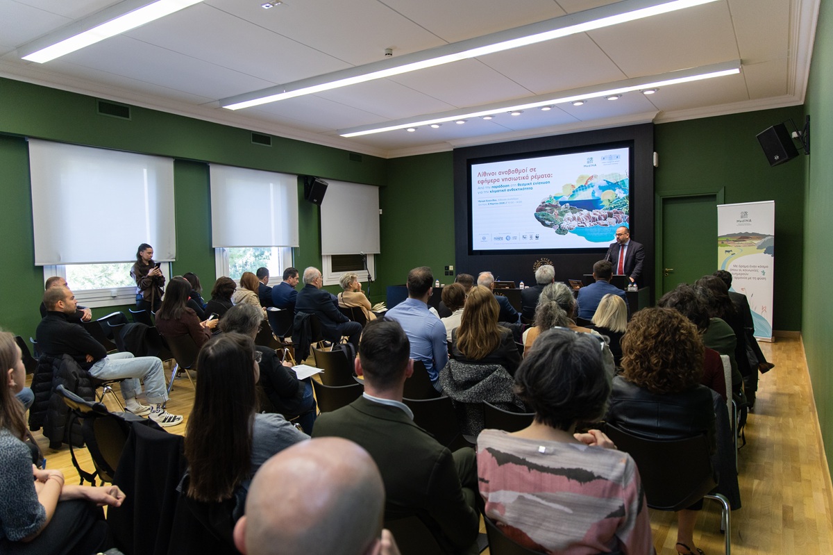 MedINA imerida lithinoi anavathmoi