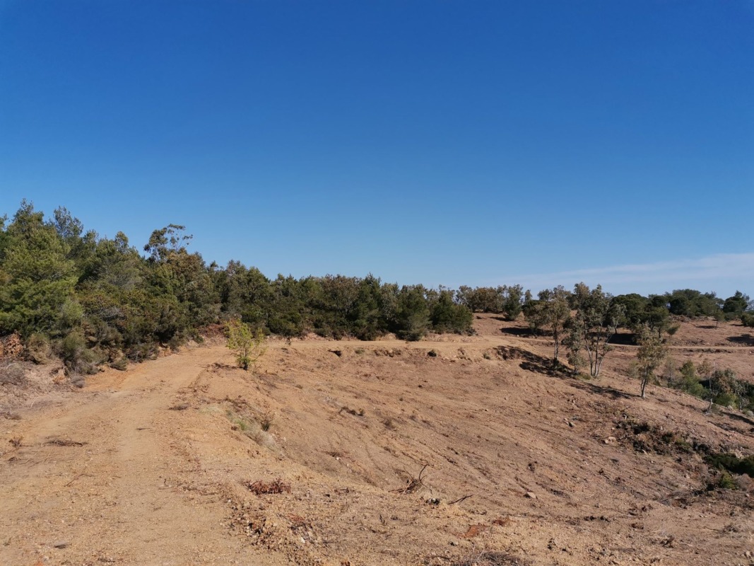 172099631 206603937522593 7733236761727687142 n