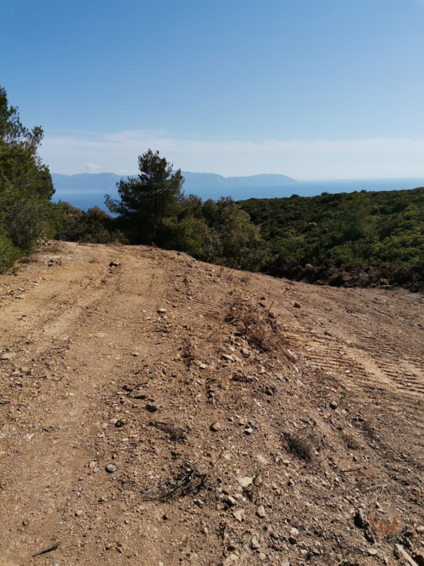 172337915 810118783256351 7375040217073753510 n