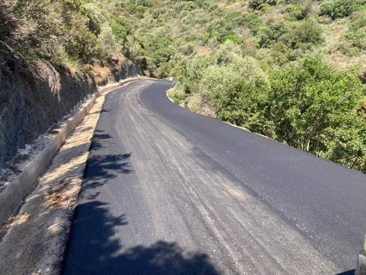 219194159 10223560521619285 4481880463377707282 n