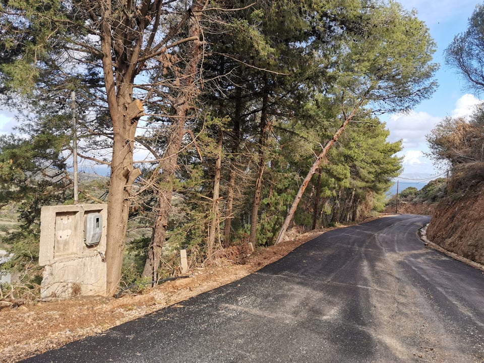 262010389 430787598446367 9000754461769983419 n