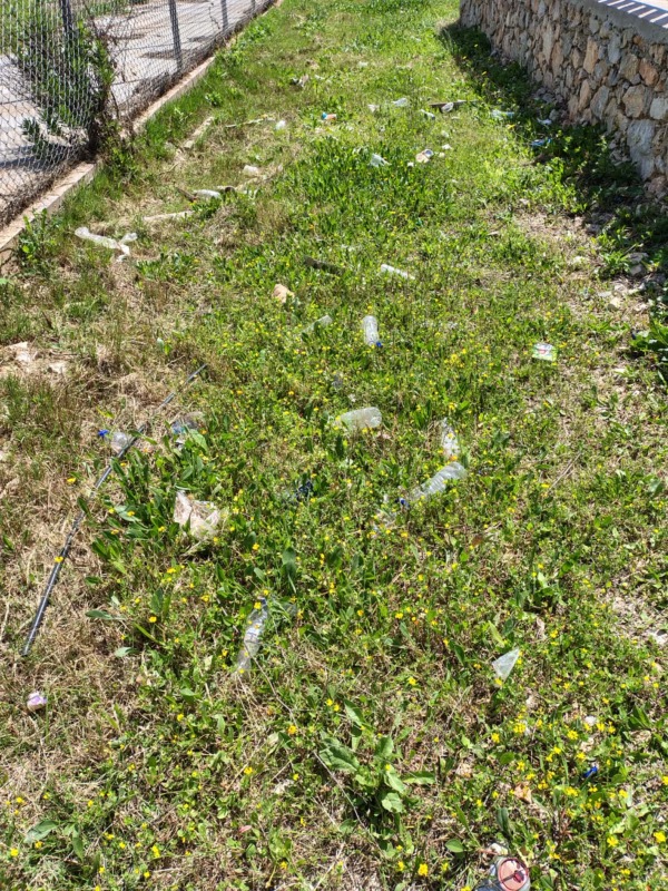 668536655 928814439919538 6012238819165050421 n