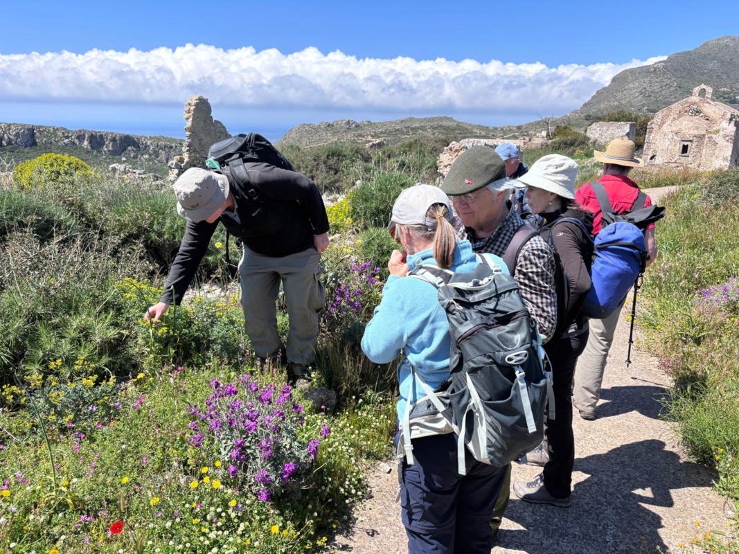 669606775 1629098858741501 1735877275499818791 n