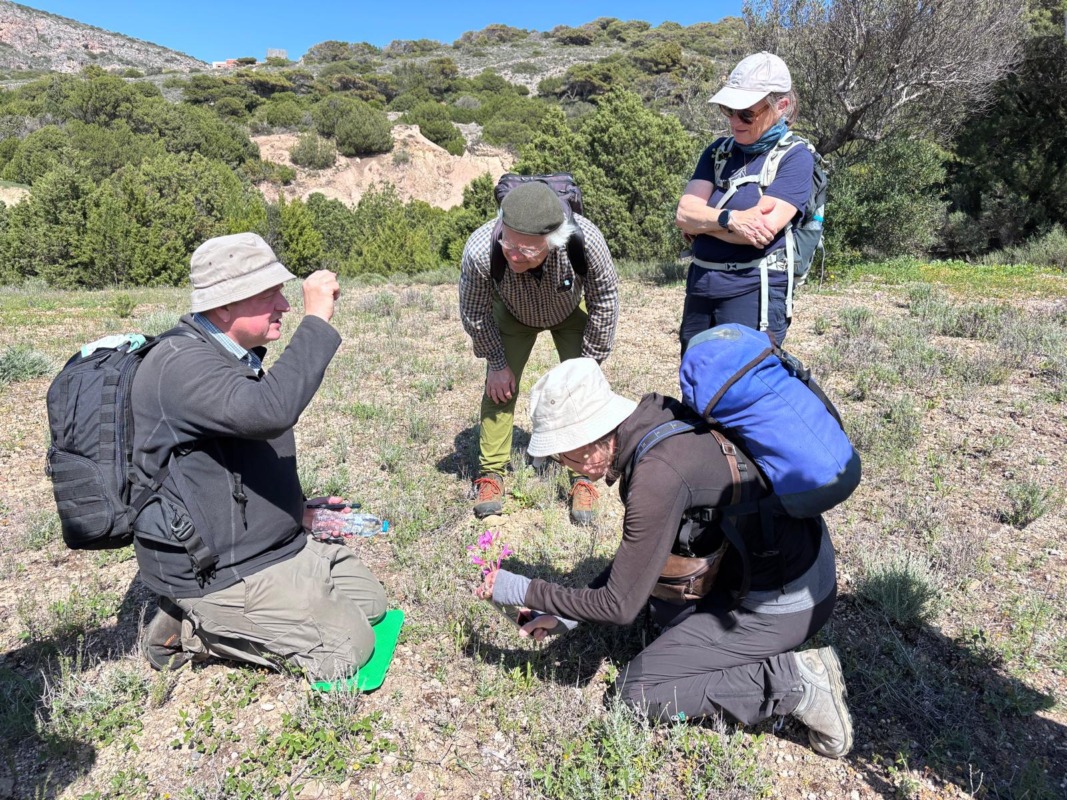 Η άνοιξη στα Κύθηρα έχει το χρώμα της ορχιδέας