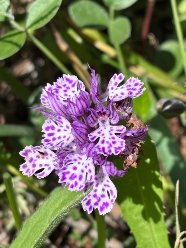 670882928 1629099215408132 1896429942177310008 n