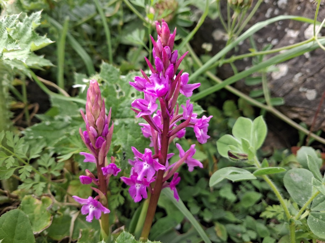 671685295 1629099515408102 8400227366525135554 n