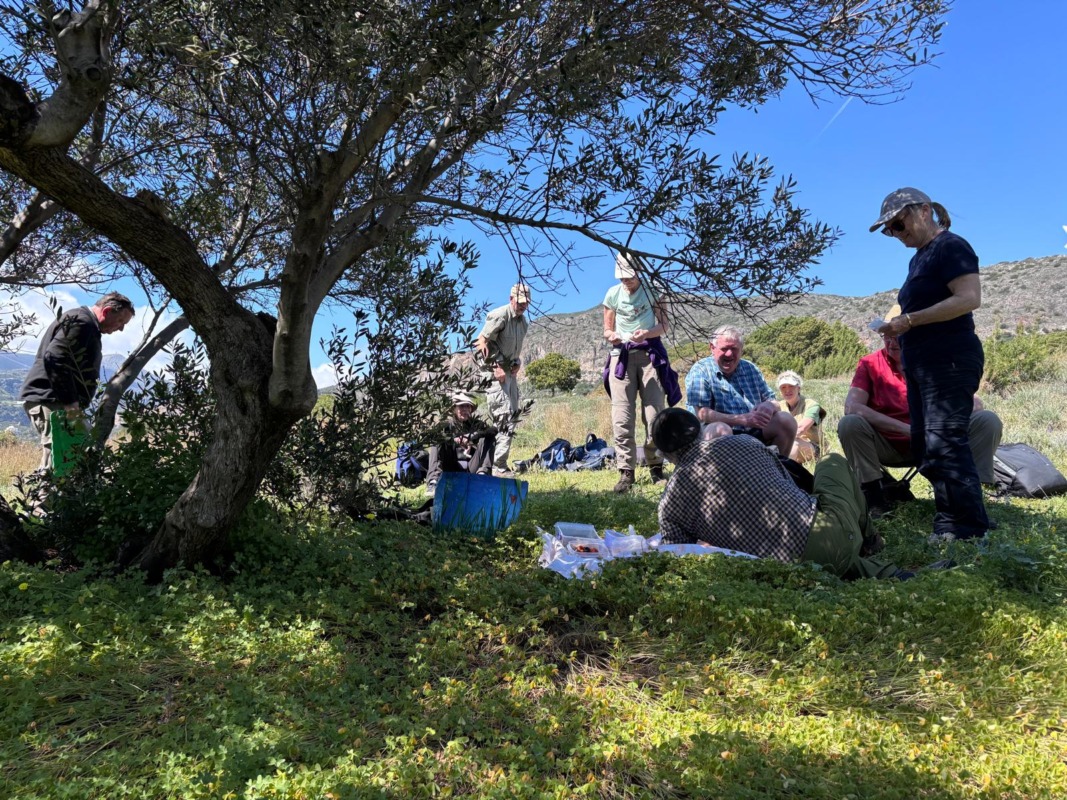 671999084 1629098902074830 1401926726049179273 n