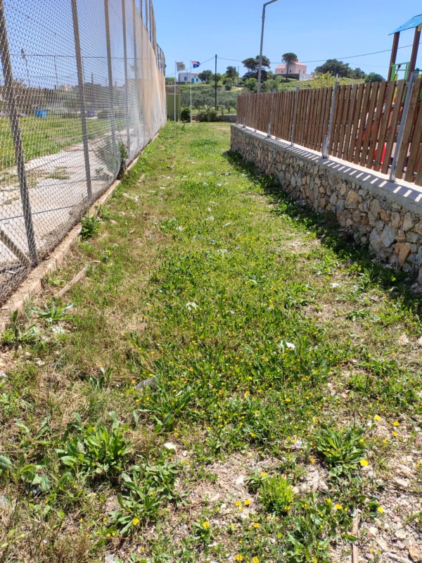 674804070 1467525387919669 1933657879768644781 n