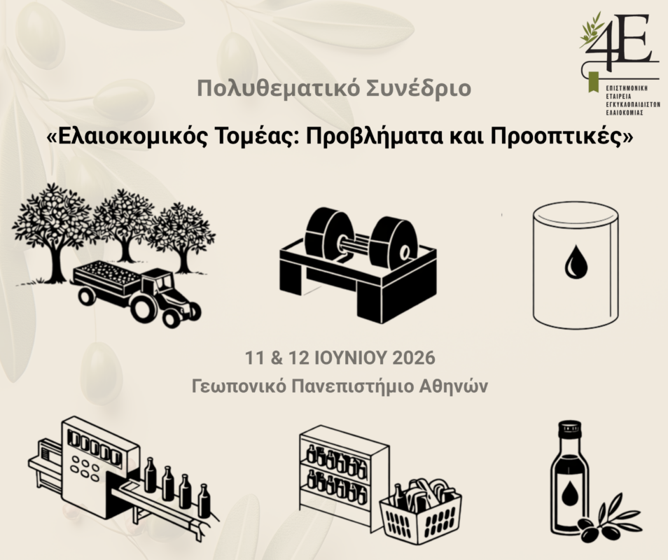 11 12 iouniou 2026
