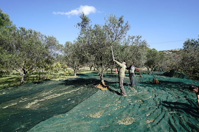 Δημιουργία του Εργαστηρίου Έξυπνου Χωριού Κυθήρων για τον Αγροτικό Τομέα