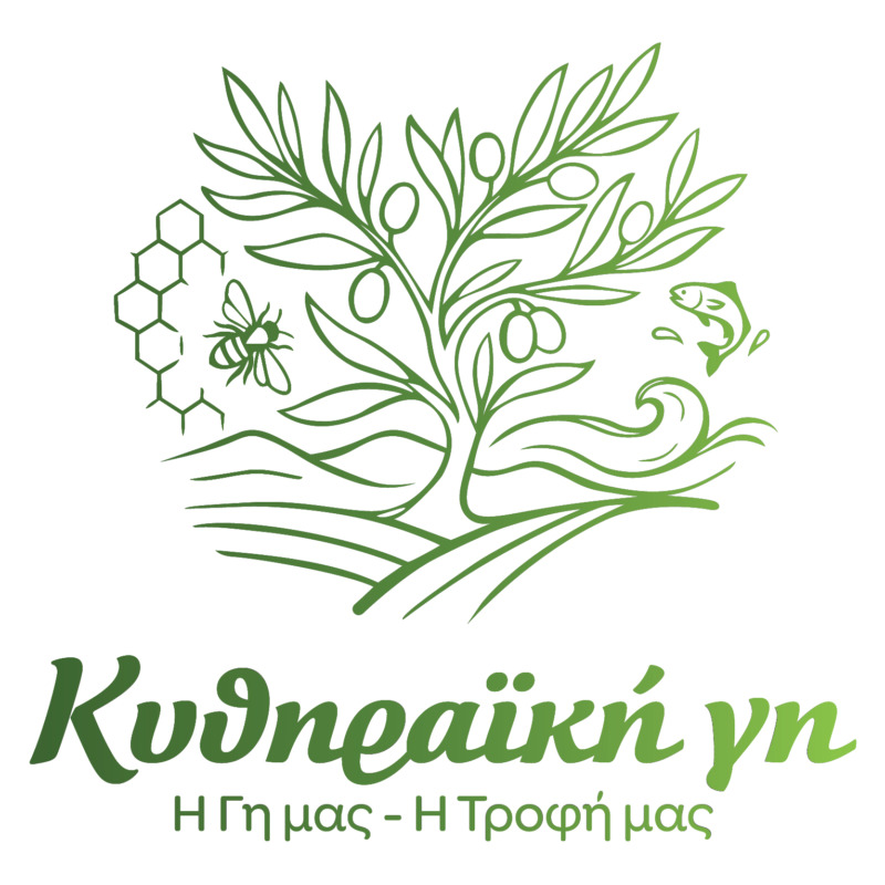 Basic LOGO KYT@3x 100